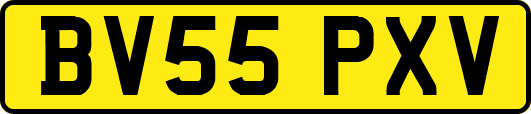 BV55PXV