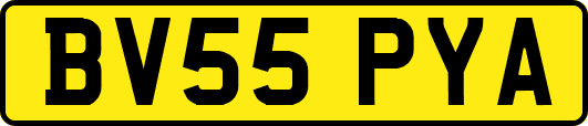 BV55PYA