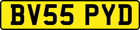 BV55PYD