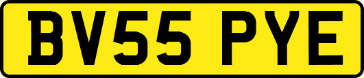 BV55PYE