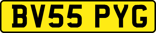 BV55PYG
