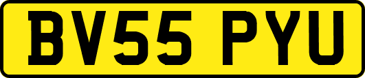 BV55PYU