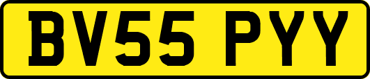 BV55PYY