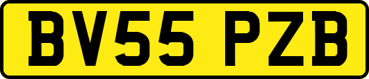 BV55PZB