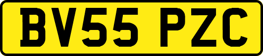 BV55PZC