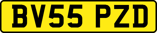 BV55PZD