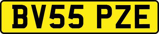BV55PZE