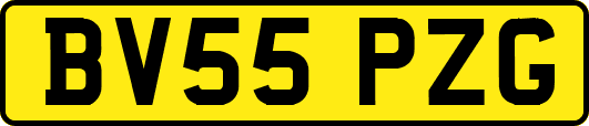 BV55PZG