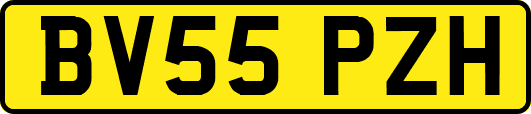 BV55PZH