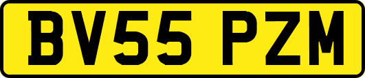 BV55PZM