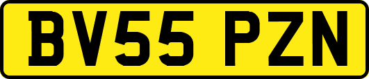 BV55PZN