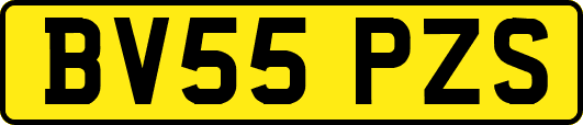 BV55PZS