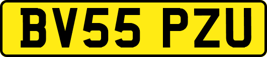 BV55PZU