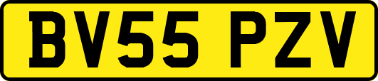 BV55PZV