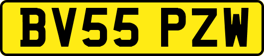 BV55PZW