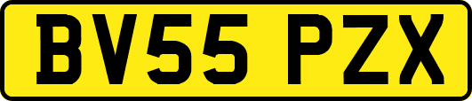 BV55PZX