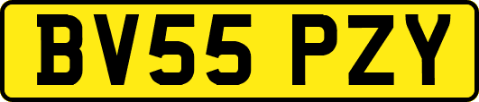 BV55PZY