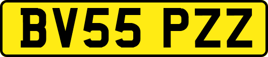 BV55PZZ