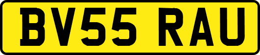 BV55RAU