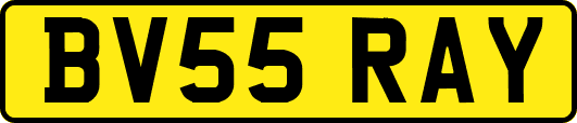 BV55RAY