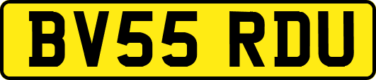 BV55RDU