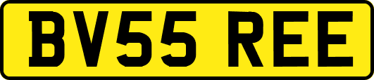 BV55REE