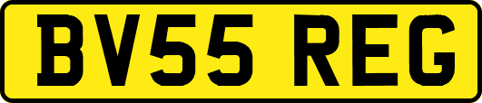 BV55REG