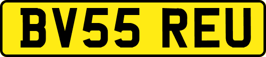 BV55REU