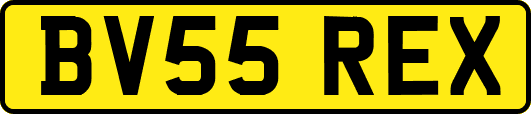 BV55REX