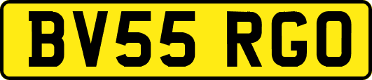 BV55RGO