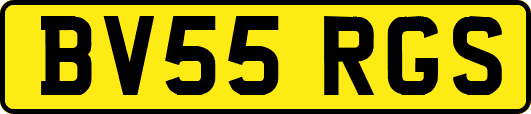 BV55RGS