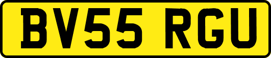 BV55RGU