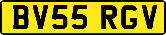 BV55RGV