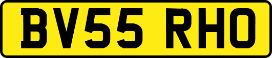 BV55RHO