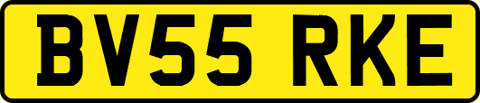 BV55RKE