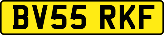 BV55RKF