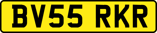 BV55RKR
