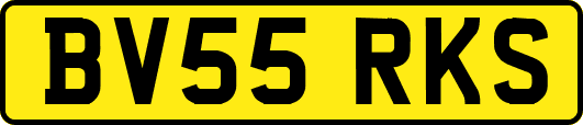 BV55RKS