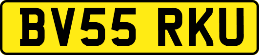 BV55RKU