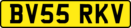 BV55RKV