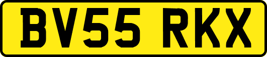 BV55RKX