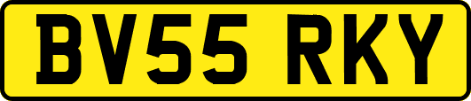 BV55RKY