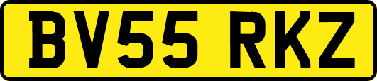 BV55RKZ