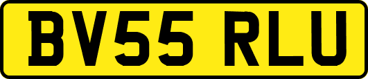 BV55RLU