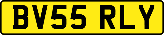BV55RLY