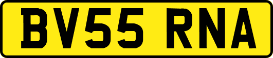 BV55RNA