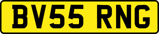 BV55RNG