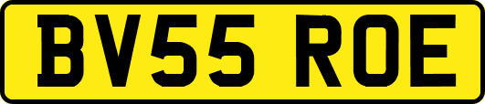BV55ROE