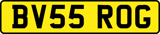 BV55ROG
