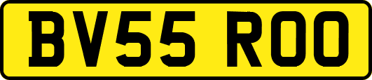 BV55ROO